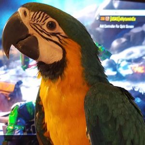 Meet your Posher, Eric